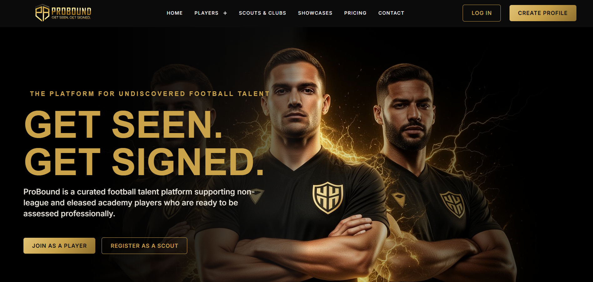 Preview of a premium website designed by Studio 7Two